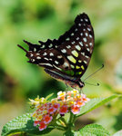 rDSC_4649