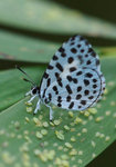 rDSC_1610
