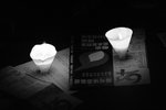 rDSC_5111