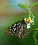 rDSC_4645