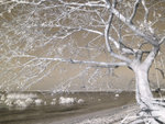 rIMG_0841