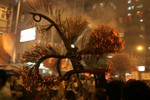 FireDragon06