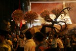 FireDragon08