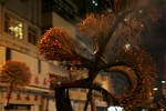 FireDragon11