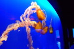 Dec2006