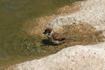 June2006