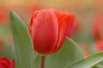 March2006