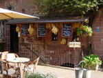 DSC00019