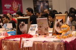 Hong Kong Cat Expo 2006 
