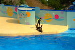 Ocean Theatre Photos (���v�@���ۤ���)