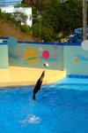 Ocean Theatre Photos (���v�@���ۤ���)