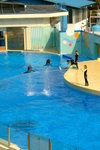 Ocean Theatre Photos (���v�@���ۤ���)