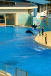 Ocean Theatre Photos (���v�@���ۤ���)