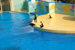 Ocean Theatre Photos (���v�@���ۤ���)