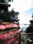 Hundreds of people's hopes and dreams are written on wodden placards and placed on these wooden stands placed around the temples. Did I see 