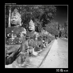 img5d1_9330