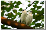 CRW_0616-1