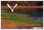 CRW_6633