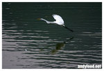 CRW_6891