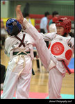 2008tkd (12)