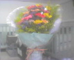 Beautiful sun flower ^^
