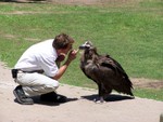 birdshow5