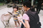 2nd bday - 22