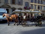 firenze - 17
