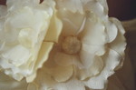 details - 11