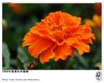 D28_9034ns