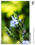 D28_9041ns