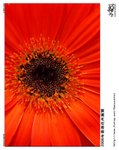 D28_9058ns