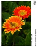D28_9079ns