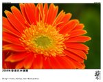 D28_9088ns
