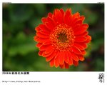 D28_9157ns