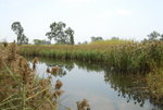 image0031
