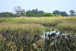 image0033