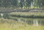image0036