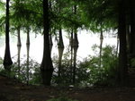 image0039