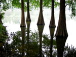 image0040
