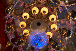 CRW_9950