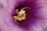 CRW_9072