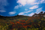 CRW_9557-2