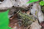 CRW_9903