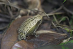 CRW_9925