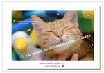 OF200703214271P