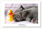 OT200712295081Pf