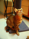 DSCN6158