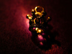 DSCN5747