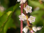 DSCN2061
